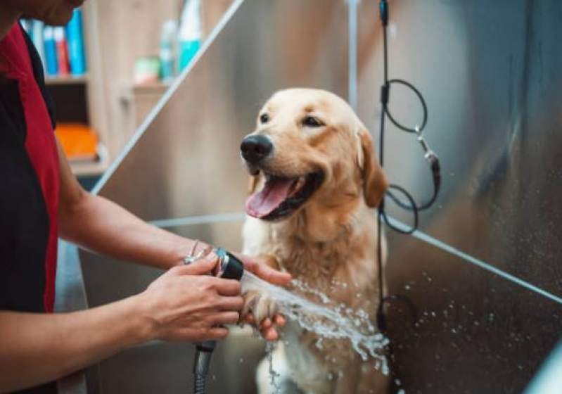 Banho e Tosa para Cachorro Loteamento Mangabeiras - Banho e Tosa para Cães