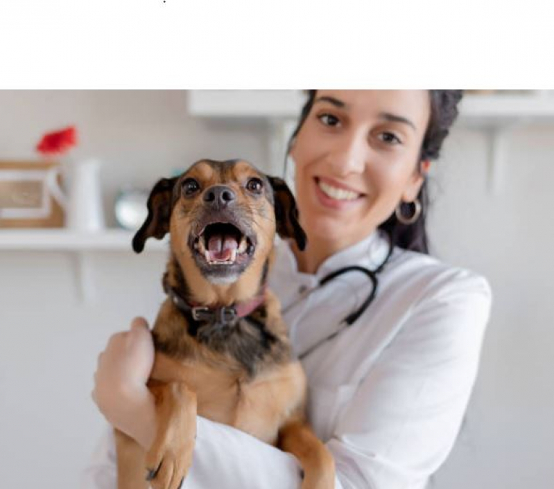 Cirurgia Ortopédica para Cachorros Francisco Duarte - Cirurgia Reconstrutiva Veterinária