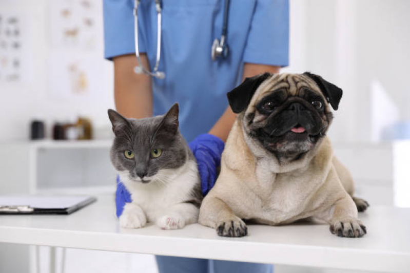 Clínica com Laboratório Veterinário para Cachorro Engenheiro Clóvis Freitas Leal - Laboratório Veterinário para Cachorros