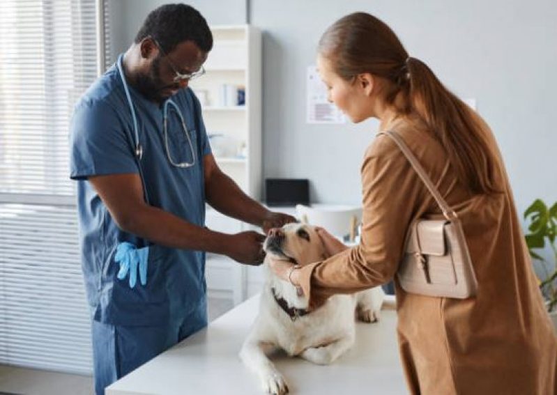 Clínica Médica Veterinária Bom Jesus - Clínica Veterinária para Cachorro
