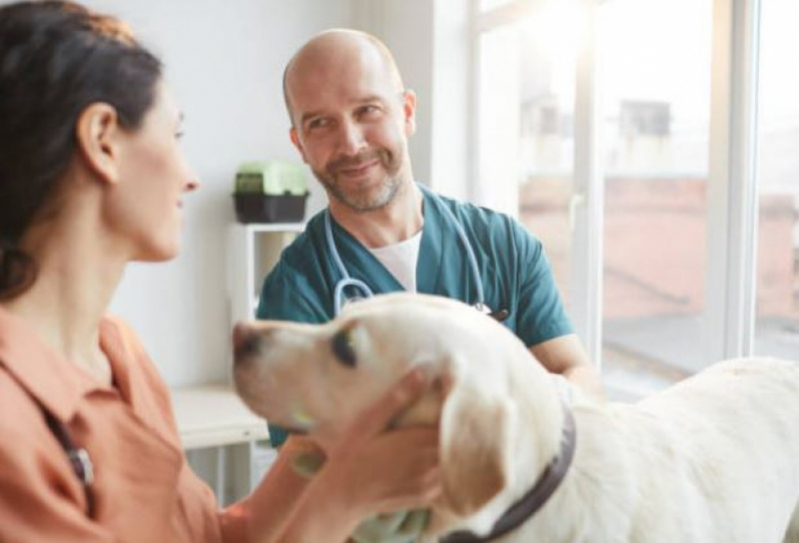 Clínica Pet para Cachorro Contato São Vicente - Clínica Veterinária Oftalmologia