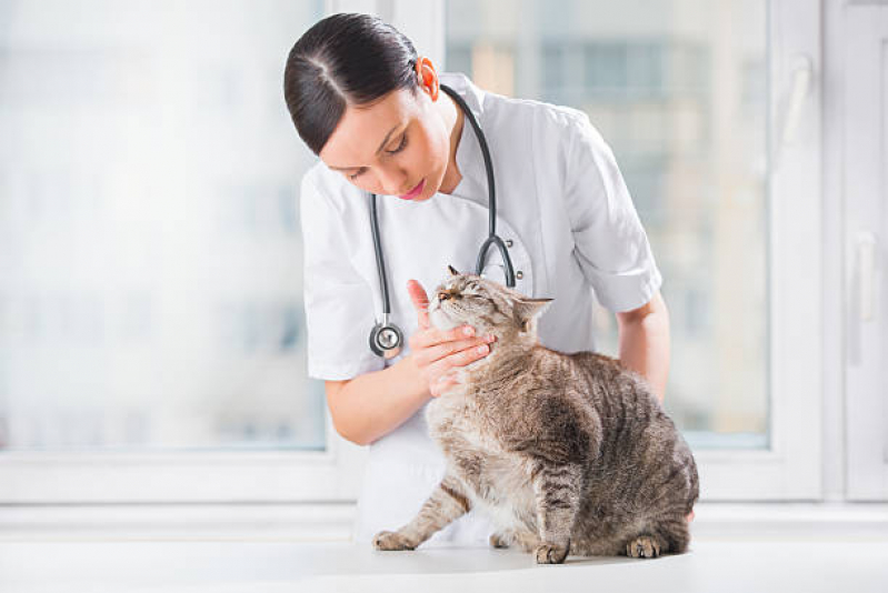 Clínica Pet para Gatos Telefone Tiradentes - Clínica Cães e Gatos
