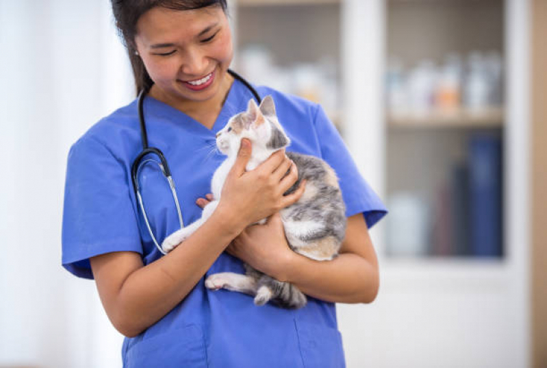 Clínica Veterinária para Gatos Endereço Loteamento Novo Horizonte - Clínica Veterinária para Gatos