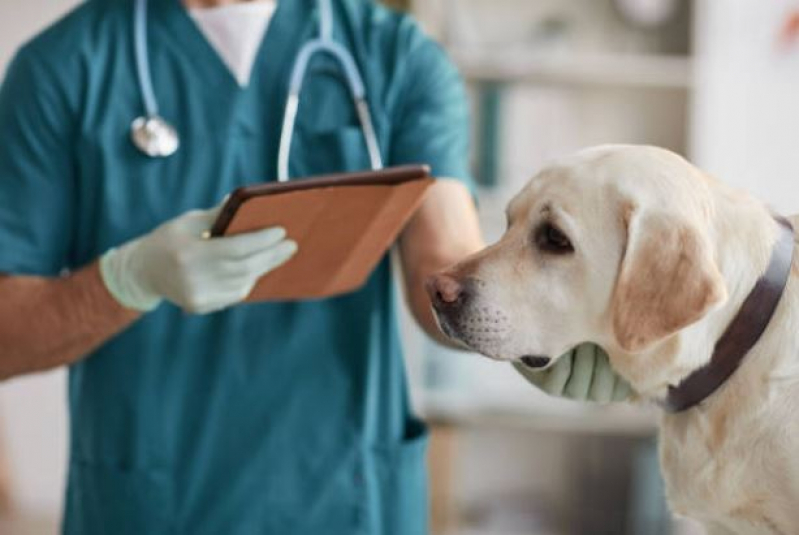 Clínica Veterinária Perto de Mim Loteamento Jardim América - Clínica Veterinária de Cães e Gatos