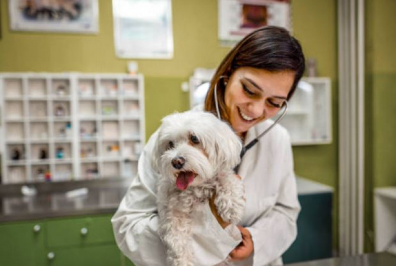 Clínica Veterinária Loteamento Fenícia - Clínica Veterinária 24h