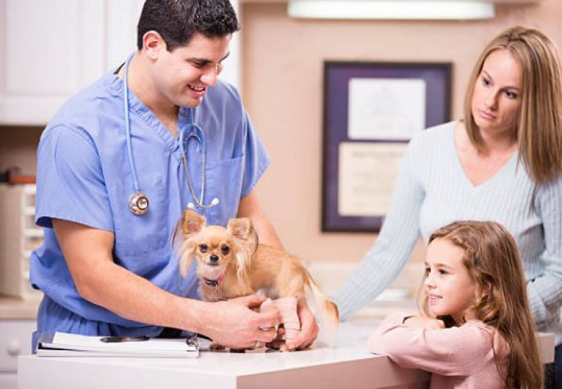 Consulta para Animais Arasol - Consulta Veterinária Dermatológica para Cachorro