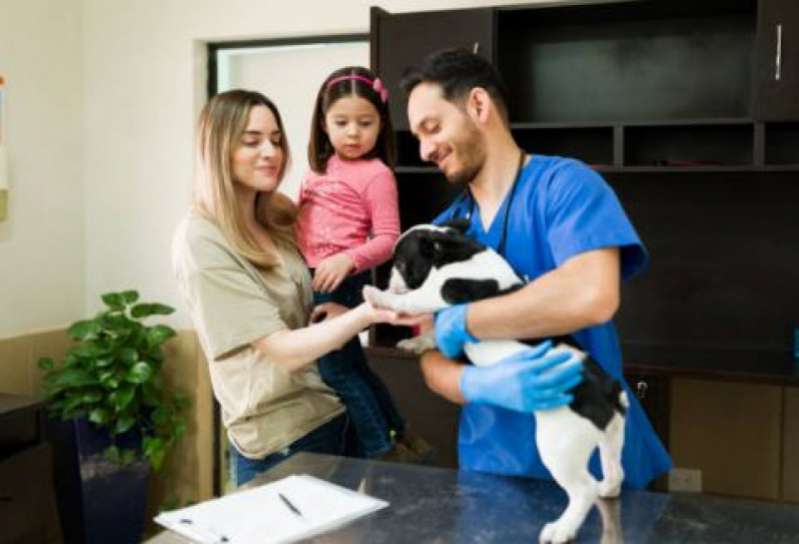 Diagnóstico de Doença Animal Vila Santa Terezinha - Diagnóstico de Doença de Cachorros