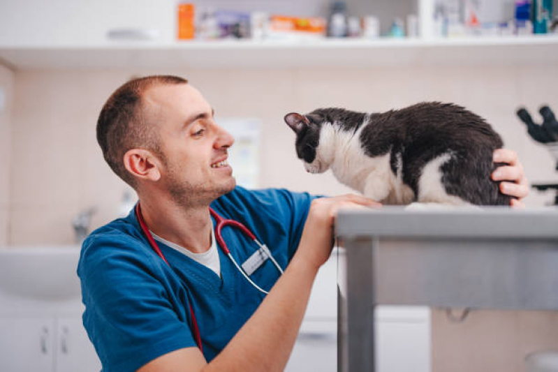 Endereço de Centro Veterinário para Gatos Abolição - Centro Veterinário Especializado em Gatos