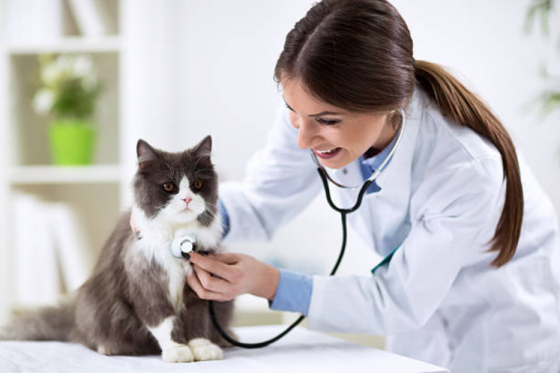 Exame de Sangue em Gatos Conjunto Habitacional Bela Vista - Exame de Fezes em Cachorro
