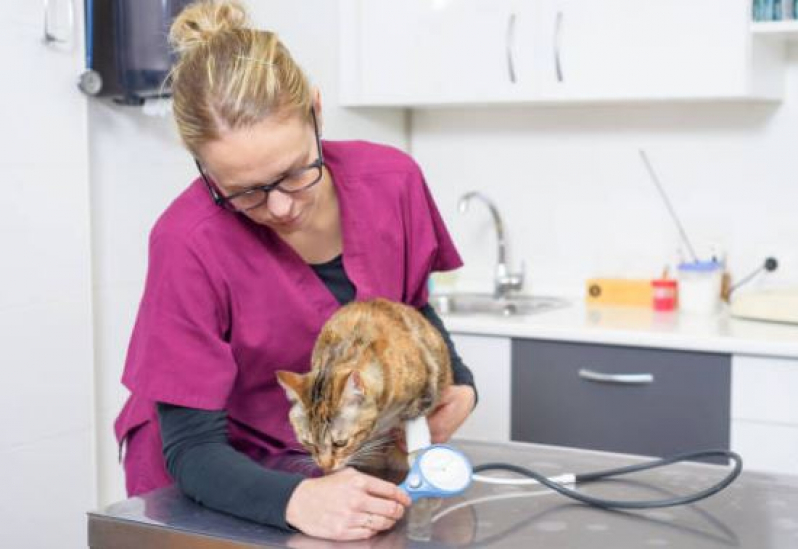Exame Eletrocardiograma Animais Agendar Cohab Boa Vista - Exame de Raio X para Pet