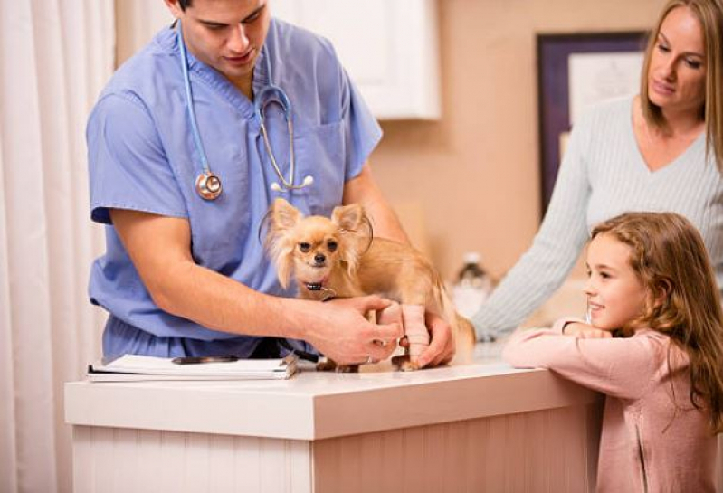 Onde Encontrar Clínica Veterinária 24 Horas Perto de Mim Santa Juliana - Clínica Veterinária para Cachorros