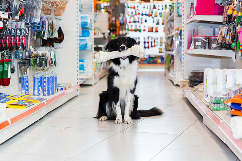 Telefone de Pet Shop Banho São Geraldo - Pet Shop Próximo a Mim