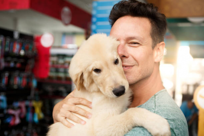 Onde Encontrar Pet Shop Perto de Mim Cohab Pão Açúcar - Pet Shop Mais Perto de Mim