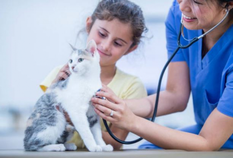 Onde Faz Consulta Veterinária de Gatos Ana Antônia - Consulta Veterinária Dermatológica para Cachorro