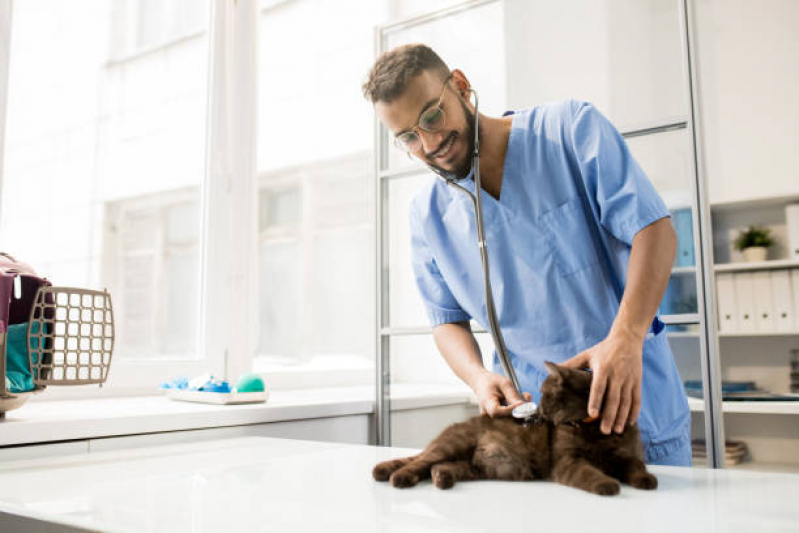 Onde Faz Diagnóstico por Imagem em Pequenos Animais Vila Guimarães - Diagnóstico de Doença Canina