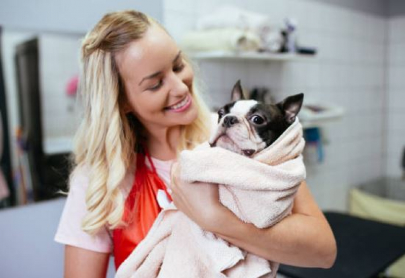 Onde Fazer Banho e Tosa Cães e Gatos Fertiza - Banho e Tosa Pet Shop