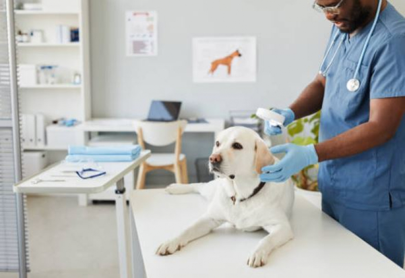 Onde Marcar Exame de Ultrassom para Cachorro Distrito Industrial - Exame de Sangue Veterinário