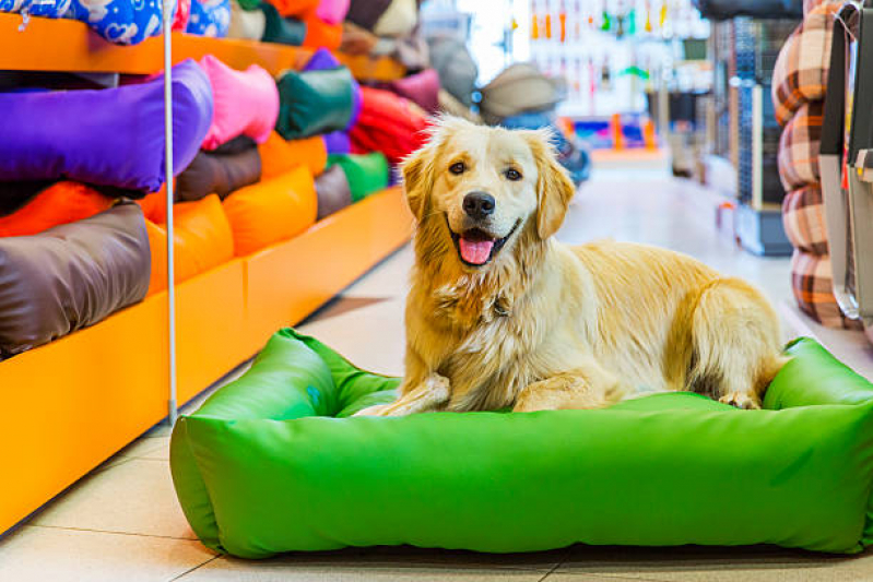 Pet Shop Banho e Tosa Contato Estância - Pet Shop para Cachorros