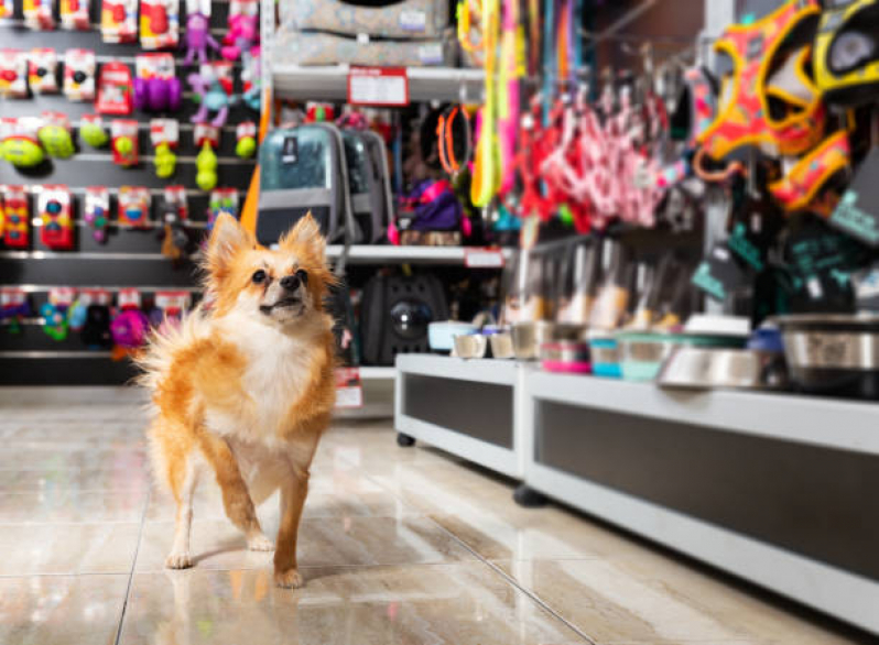Pet Shop Banho Loteamento Mangabeiras - Pet Shop Banho e Tosa Centro de Araxá