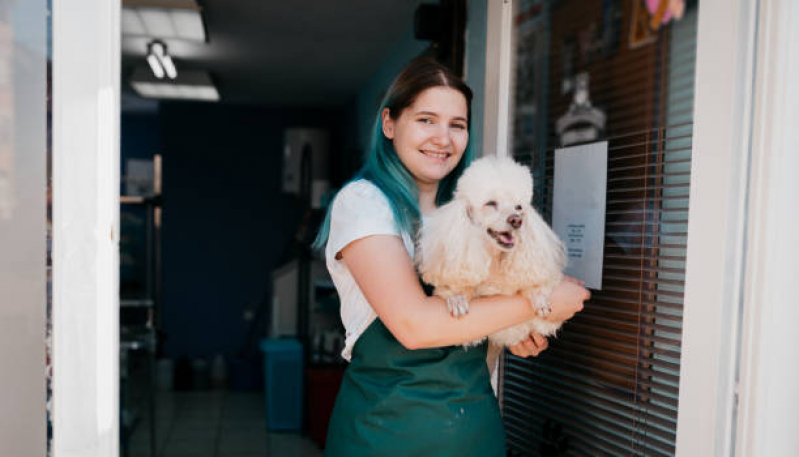 Pet Shop Cães e Gatos Contato Leda Barcelos - Pet Shop Banho