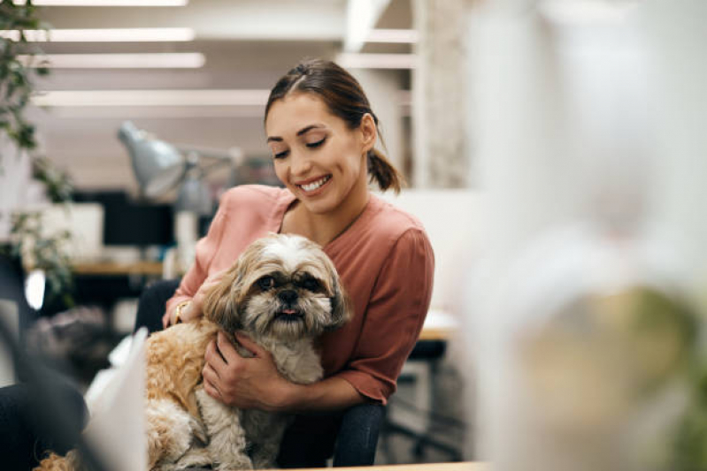 Telefone de Pet Shop para Cachorros Portal do Camburí - Pet Shop Perto de Mim