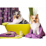 banho e tosa cães e gatos Vila Santa Luzia