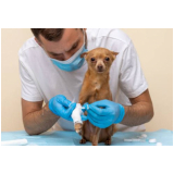 centro veterinário para cachorros telefone Engenheiro Clóvis Freitas Leal
