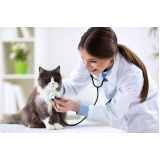 centro veterinário para gatos Vila Fertiza
