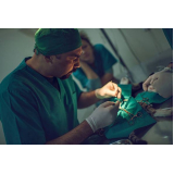 cirurgia ortopédica em cachorro agendar Micro Distrito Dom Zema