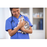 clínica pet para animais contato São Vicente