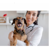 clínica veterinária cães e gatos telefone Dona Beja
