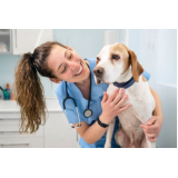 clínica veterinária para cachorros endereço Jardim Europa