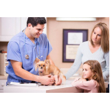 consulta veterinária para cachorros Tapira
