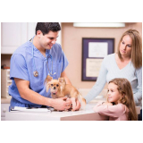 endereço de veterinária especialista em pele de cachorro Pedra Azul
