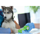 laboratório de análises clínicas veterinárias contato Distrito Industrial