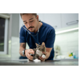 laboratório veterinário para gatos endereço Santa Maria