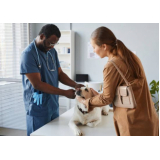 onde encontrar centro veterinário especializado em cachorros Engenheiro Clóvis Freitas Leal