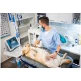 onde encontrar laboratório veterinário para cachorro Santa Luzia