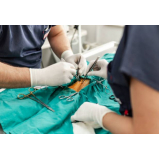 onde faz cirurgia oftalmológica veterinária Arasol