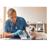 onde marcar consulta veterinária para cachorro Domingos Zema