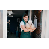 pet shop cães e gatos contato Guilhermina Vieira Chaer